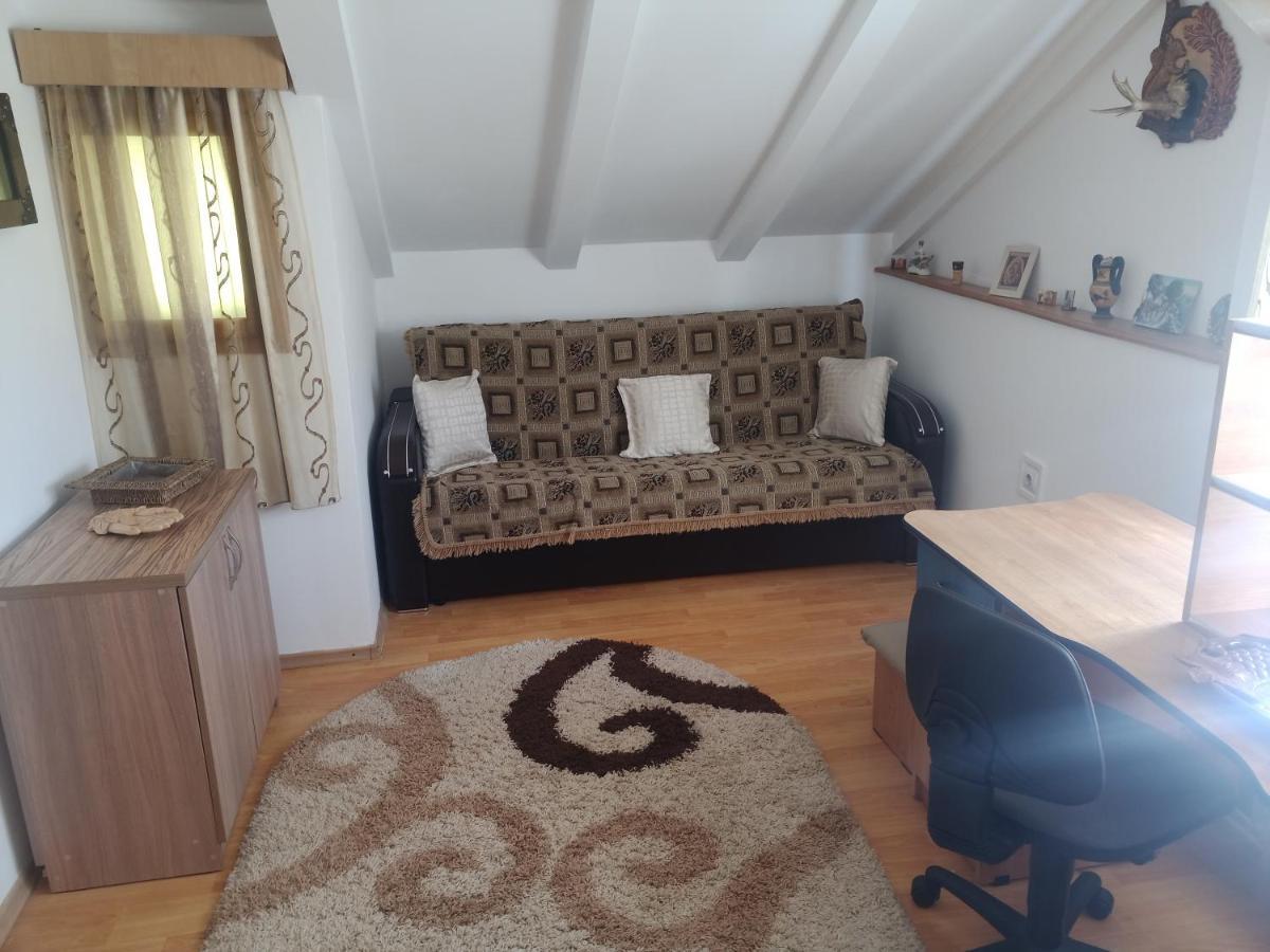 Casa Cristian Βίλα Câmpulung Moldovenesc Εξωτερικό φωτογραφία