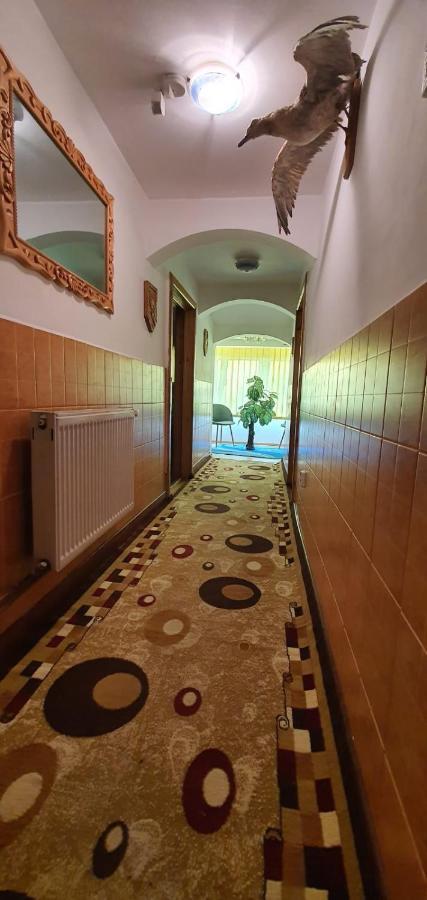 Casa Cristian Βίλα Câmpulung Moldovenesc Εξωτερικό φωτογραφία