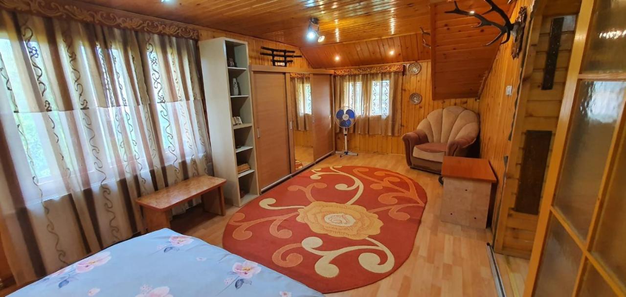Casa Cristian Βίλα Câmpulung Moldovenesc Εξωτερικό φωτογραφία
