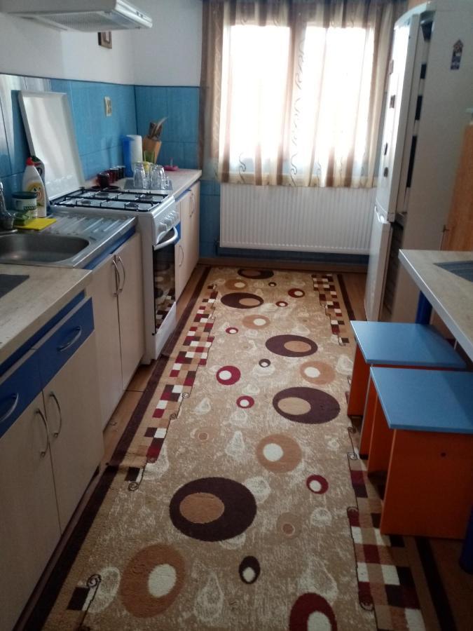 Casa Cristian Βίλα Câmpulung Moldovenesc Εξωτερικό φωτογραφία