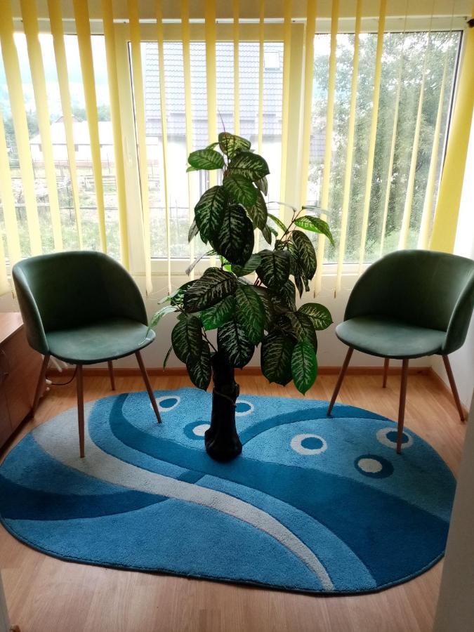 Casa Cristian Βίλα Câmpulung Moldovenesc Εξωτερικό φωτογραφία