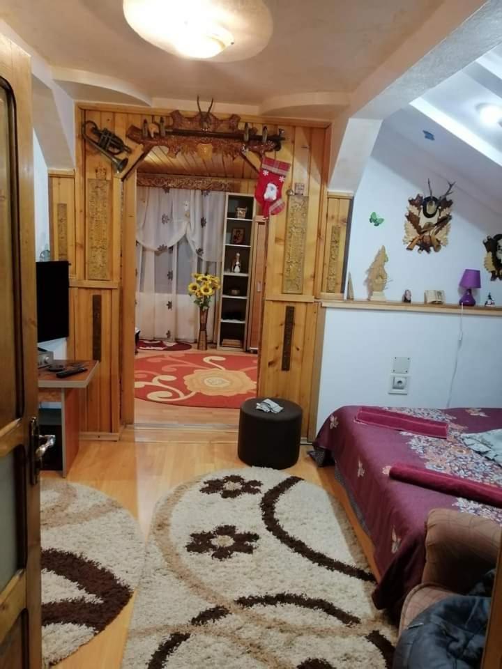 Casa Cristian Βίλα Câmpulung Moldovenesc Εξωτερικό φωτογραφία