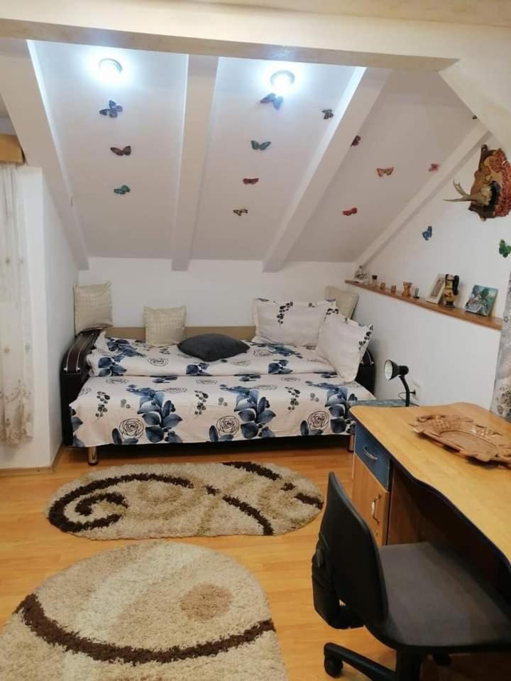 Casa Cristian Βίλα Câmpulung Moldovenesc Εξωτερικό φωτογραφία